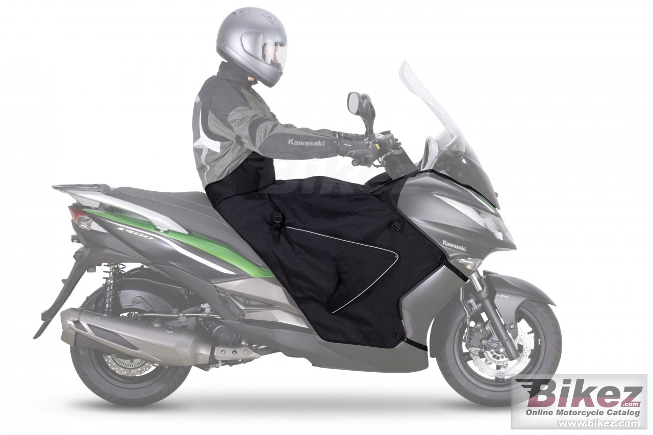 Kawasaki J300 poster